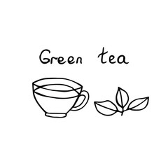 Green tea, cup and tea leaves, vector illustration, hand drawing