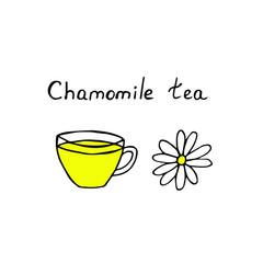 Chamomile tea, сup and chamomile flower, colored, vector illustration, hand drawing
