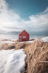 Famous fishermen cabin in Lofoten islands in north of norway behing arctic circle in winter. Spring is coming to norway. positive colors in the picture. positive vibe.