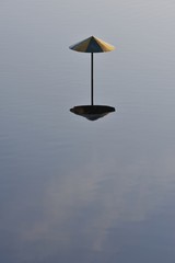 Spring flood of water. Semi-flooded beach fungi and their reflection in the water.