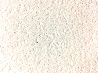 white carpet texture of rice