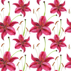 Stargazer lily watercolor pink seamless pattern