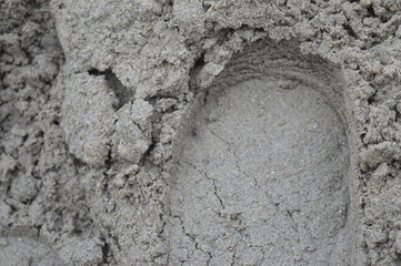 Sign of Man heel in liquid sand at indus river