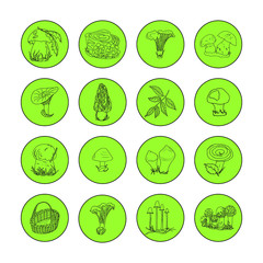 Mushroom hand drawn vector illustration. Set of 16 round isolated green icons on a white background. Boletus, chanterelle, yellow boletus, rough boletus, russula, coral milky. Design for website.