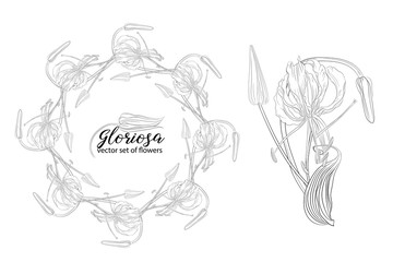 vector set of flowers and beads glorasa Gloriosa