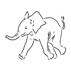 Obraz premium sketch of elephant baby, realistic 