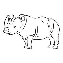 illustration of rhino