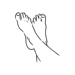 hand drawn vector illustration female feet bare, sketch