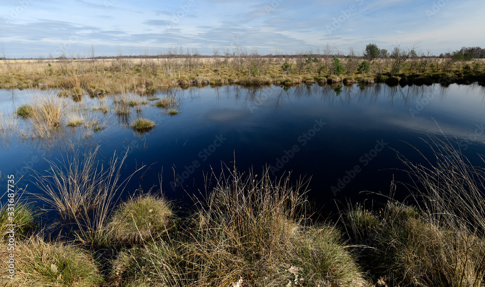 Poster Oppenweher Moor (Diepholzer Moorniederung) - Bogland in Germany