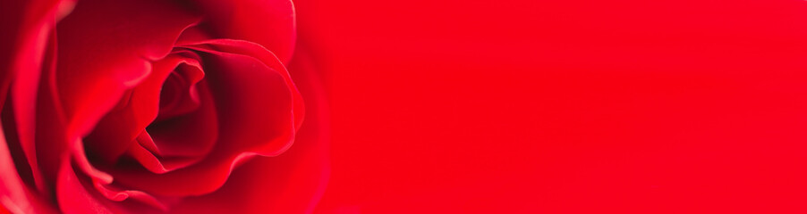 Horizontal banner background with a red rose on the left side