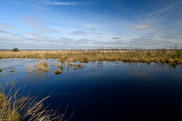 Oppenweher Moor (Diepholzer Moorniederung) - Bogland in Germany