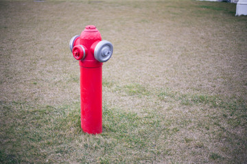Fototapeta na wymiar Red fire hydrant on a green lawn