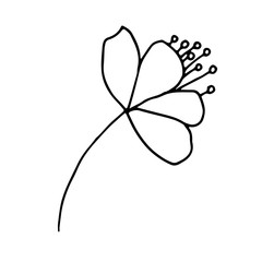 Apple tree flower, vector in doodle style