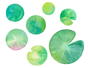 夏の素材：睡蓮の葉の水彩イラストのトレースベクター - obrazy, fototapety, plakaty
