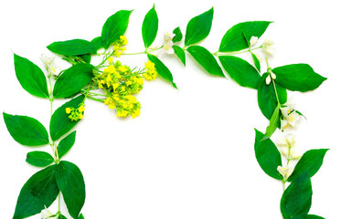 Obraz premium Wreath with jasmine flowers and leaves and yellow flowers