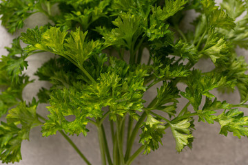 Bunch of fresh parsley on a light concrete background