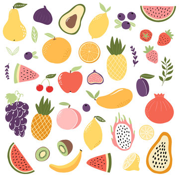 Set of exotic fruits in modern vector hand drawn scandinavian style,summer symbol, fruit salad.Doodle cute fruits, pineapple,apple,watermelon,mango,fig,lemon,grape,strawberry,dragon fruit.