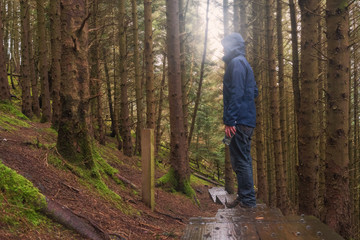 Obraz premium Man on a walk in a forest on a rainy day, Wet wooden walk path, bottle of fresh water in his hands, sun flare, Concept outdoor activity,