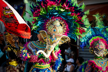 closeup man in colorful elephant costume passes by city street at dominican carnival