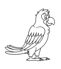 animal parrot. Raster illustration. For pre school education, kindergarten and kids and children. Coloring page and books, zoo topic. tropical bird with smiling happy face, friendly