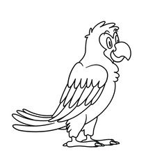 animal parrot. vector illustration. For pre school education, kindergarten and kids and children. Coloring page and books, zoo topic. tropical bird with smiling happy face, friendly