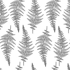 Abstract seamless pattern design with hand drawn floral and fern leaves and branches. Tileable repeating background for branding,package, fabric and textile, wrapping paper