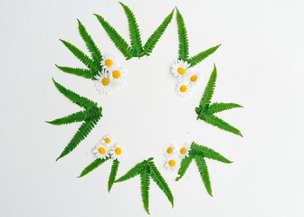 Wreath of chamomile and green fern