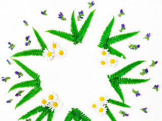 Wreath with chamomile purple wild flowers and leaves of fern