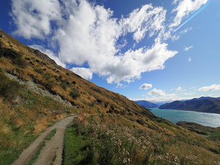 SCENERY OF NEW ZEALAND (WANAKA)