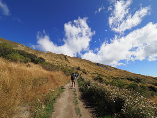 Obraz premium SCENERY OF NEW ZEALAND (WANAKA)