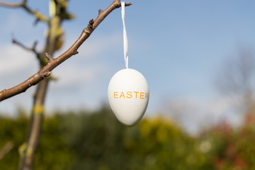 Easter egg hang on a branch