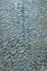 Detail of the block stone pathway