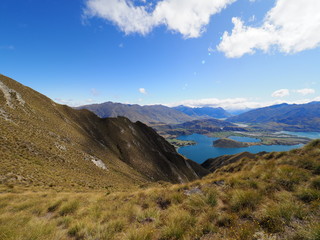 SCENARY AT NEW ZEALAND (WANAKA)