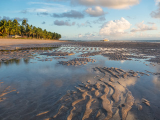 PLAYAS DEL NORDESTE BRASILERO 