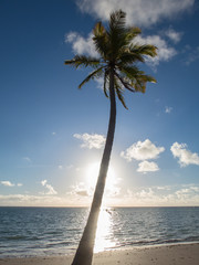 PLAYAS DEL NORDESTE BRASILERO 