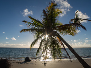 PLAYAS DEL NORDESTE BRASILERO 