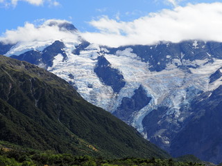 Fototapeta premium OLYMPUS DIGITAL CAMERA