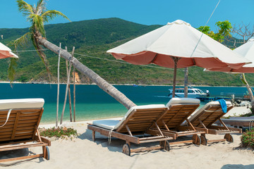 Tilted palm tree and sunbeds under parasol trees on a sandy beach in the tropics