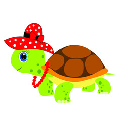 cute turtle cartoon illustration
