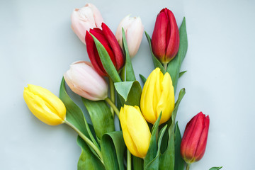 Colourful tulips on a grey background.