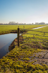 Vertical image with in the foreground mosses on a small concrete bridge. Behind it is a crooked steel gate attached to a wooden post. The photo was taken in a Dutch polder.