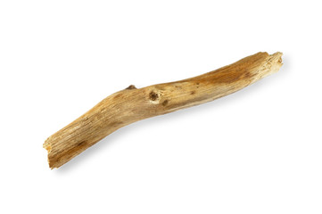 Dry stick on white background