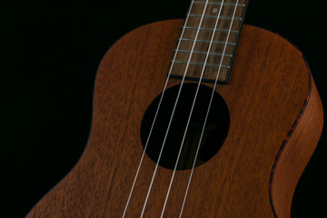 Obraz premium Ukulele