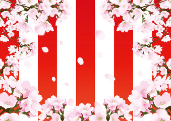 桜と縦じま背景　紅白 