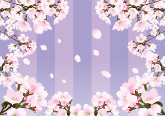 桜と縦じま背景　紫