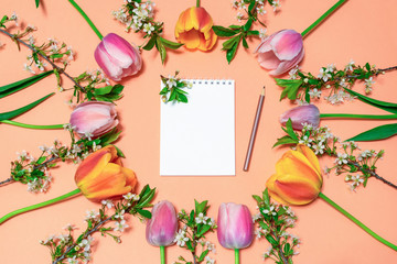 Round frame made of colorful pink and orange tulips and cherry blossom twigs on peachy paper background with white notebook and pencil. Beautiful spring layout. Floral mock up for greeting card