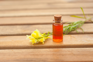 antirrhinum essential oil in  beautiful bottle on table