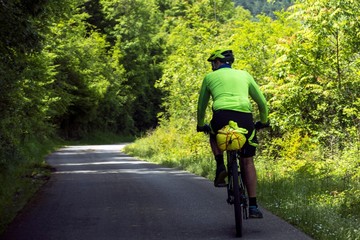 Naklejka premium forest