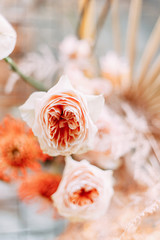 Bright Floristics in the style of fine art in Europe. Red and Burgundy bouquet of exotic flowers....