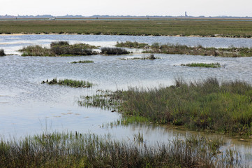 unspoiled natural landscape near the island of Venice in Italy
